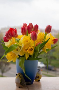 Kırmızı laleler ve Sarı Narcissus Güzel bir bahar buketinde. 