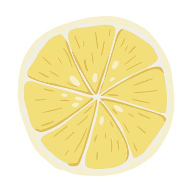Slice of Fresh Yellow Lemon. Fruit food illustration
