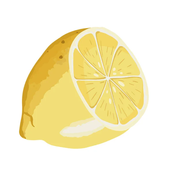 Sliced Fresh Yellow Lemon. Vector Fruit Illustration Cut out — Stockový vektor