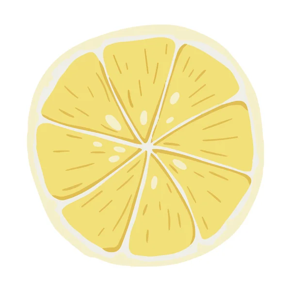 新鲜的黄色柠檬片。水果食品说明 — 图库矢量图片