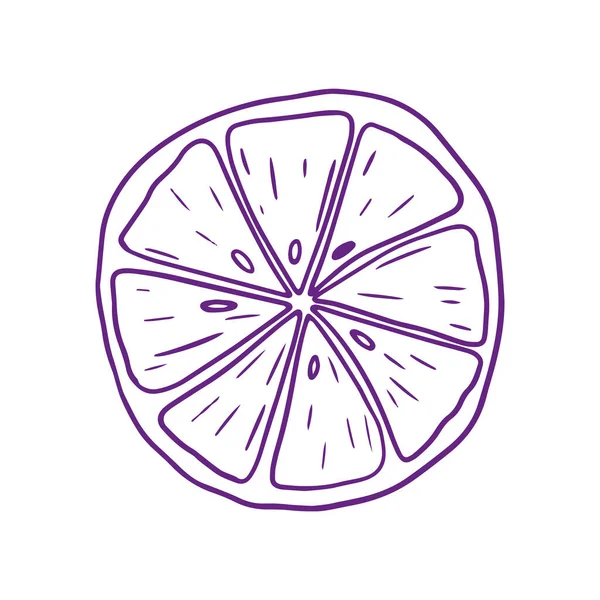 Limon dilimi tasviri. Kalem Çizimi göçmenliği