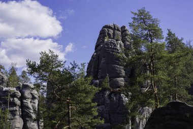 Adrspach-Teplice Kayaları 'nın güzel doğası. Adrspach Ulusal Parkı Kum Taşı Formları.