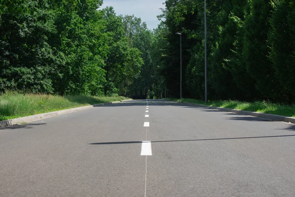 Highway Summer Park Forest Bright Green Foliage Trees Asphalt Road — Stock Photo, Image