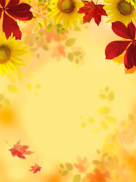 Autumn Banner Background with Colored Fall Leaves of Chestnut and Maple against a beautiful nature bokeh background. Good for Thanksgiving Day or Halloween Template With Copy Space