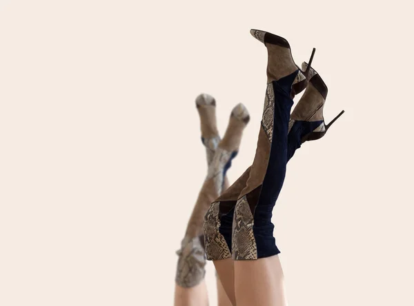 Комплект Femail Стильный Коричневый Женский Высокий Ботинок Высоким Каблуком Фон — стоковое фото