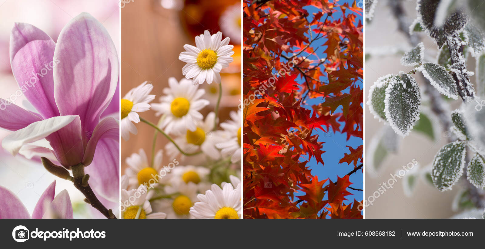 Four Seasons Banners Set Collection Spring Summer Autumn Winter Natural ...