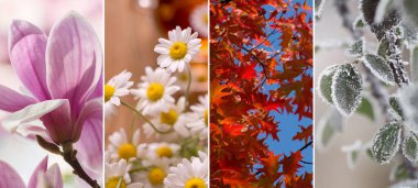 Four Seasons Banners Set. İlkbahar Yaz Koleksiyonu Sonbahar ve Kış Doğal Geçmişleri