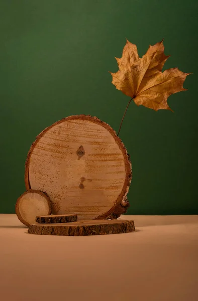 Zestaw Drewnianych Podiów Wystroju Jesiennych Liści Beżowym Zielonym Tle Nadaje — Zdjęcie stockowe