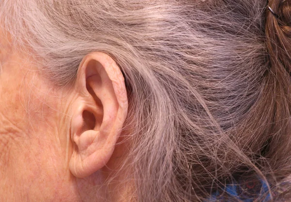 Ucho Starszego Mężczyzny Siwe Włosy — Zdjęcie stockowe