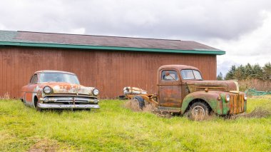 Branch Township, Michigan, ABD - 22 Ekim 2021: Masten Road boyunca paslı klasik arabalar