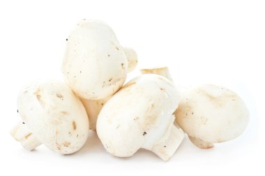 beyaz zemin üzerine beyaz taze çiğ champignon mantar portre