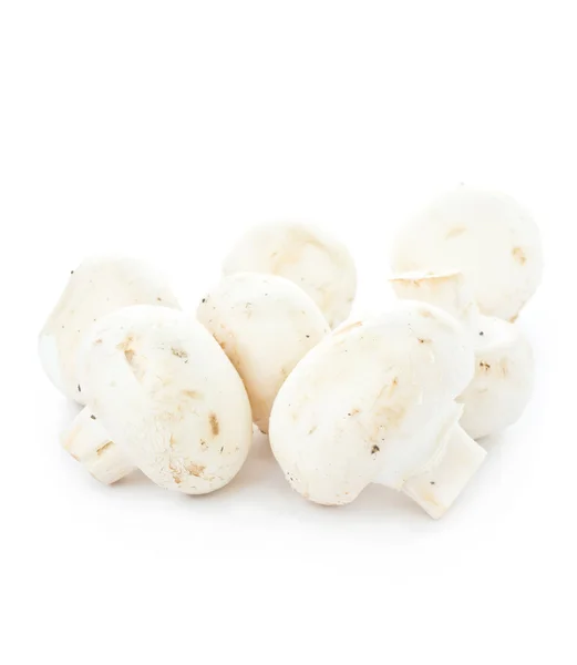 Fungo Champignon crudo bianco fresco su sfondo bianco — Foto Stock