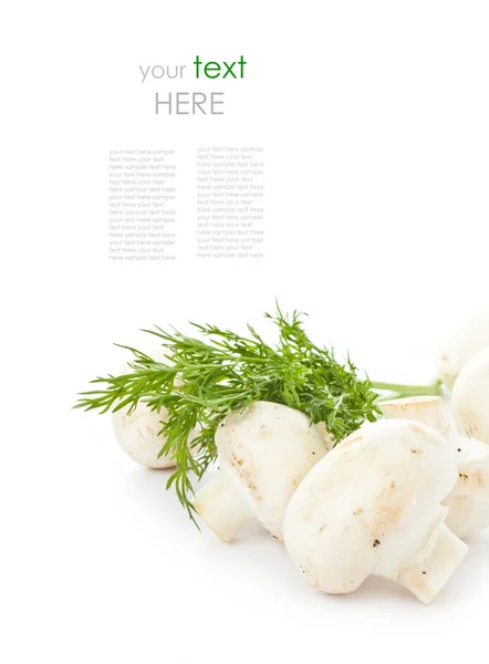 White fresh champignon mushroom with herbs, sample text — Stock Photo, Image