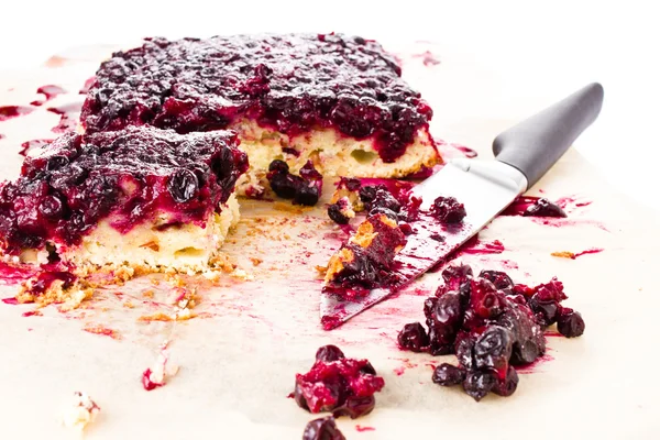 Fresh blueberry pie with powdered sugar on white background — Stock Photo, Image