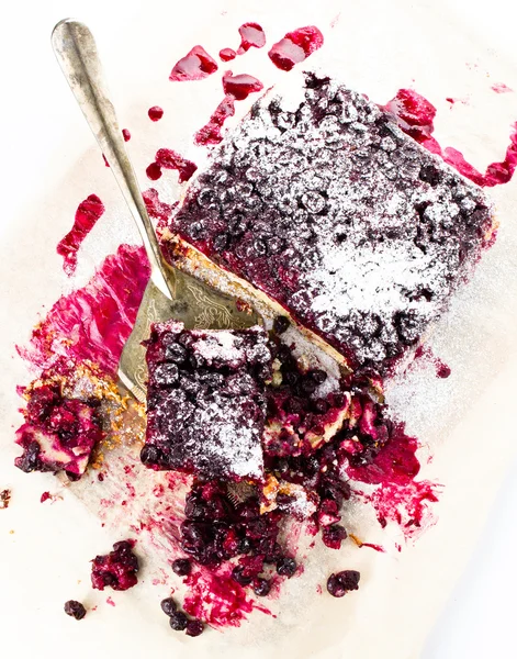 Torta de mirtilo fresco com açúcar em pó no fundo branco — Fotografia de Stock