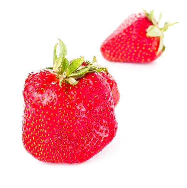 Ripe great strawberries berry isolated on white background, clos — Stock Photo, Image