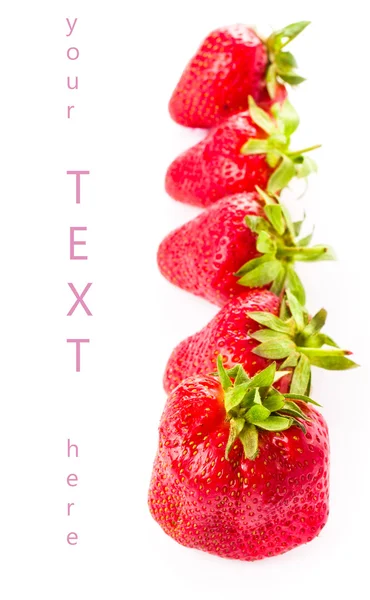 Fresh sweet strawberry isolated on white background with sample — Stock Photo, Image