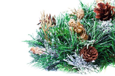 Noel dekorasyon köknar ile şube Noel ve koniler