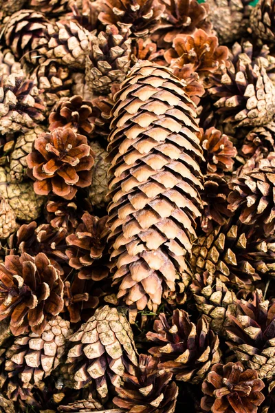 Pila de conos de pino marrón para fondos o texturas . — Foto de Stock