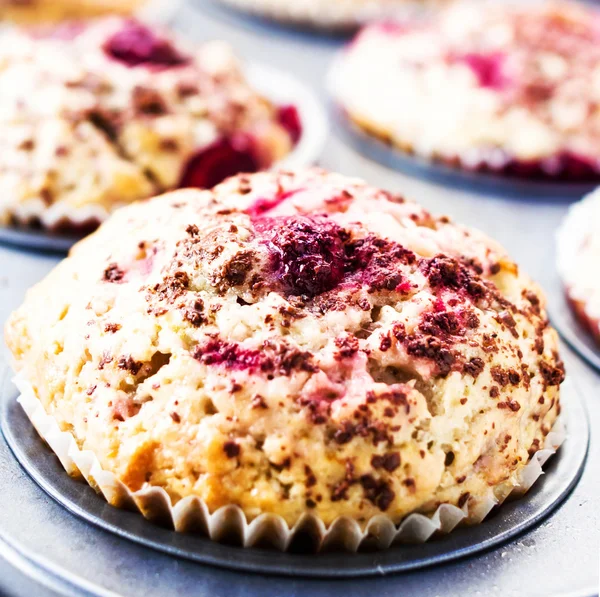 Macro Photo of Cherry muffins with chocolate sprinkles in baking — Stock Photo, Image