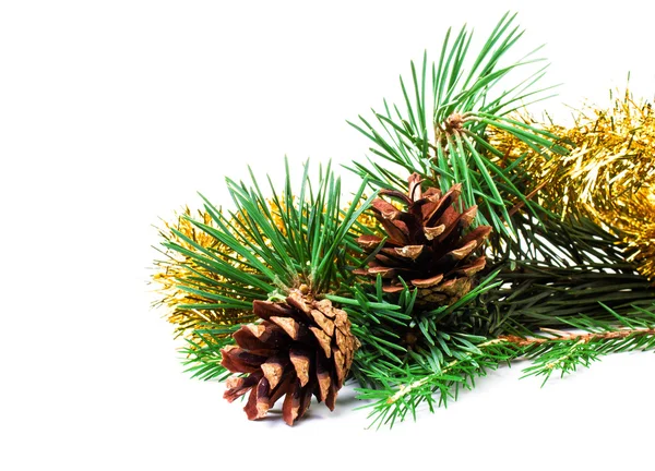 Fir branches and cones with Christmas ornaments on white background — Stock Photo, Image