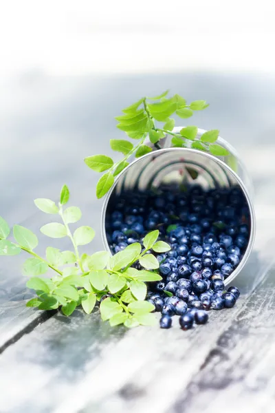 Frische Blaubeeren in einer Schüssel Glas mit Blättern auf hölzernen alten dunklen — Stockfoto