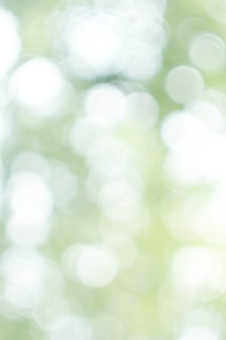 bokeh yumuşak yeşil ışık arka plan.