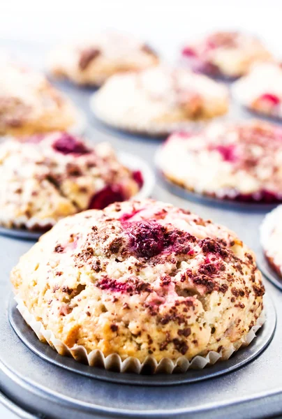 Berry muffins with chocolate sprinkles in baking tray. — Stock Photo, Image