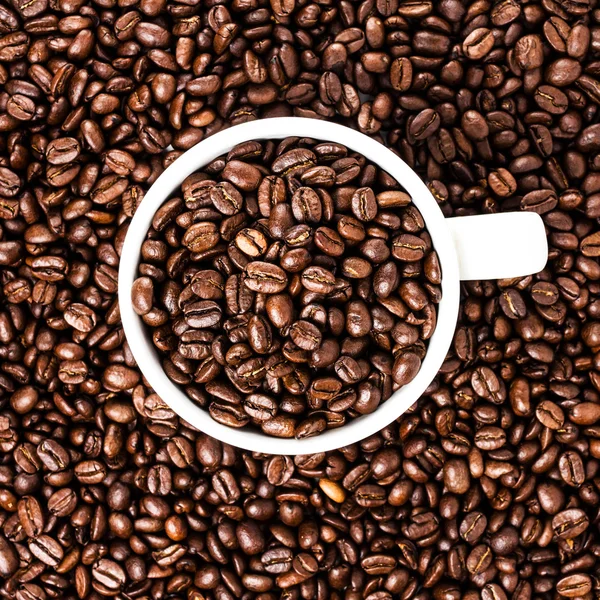 Vit kopp full av kaffebönor på rostade kaffebönor — Stockfoto