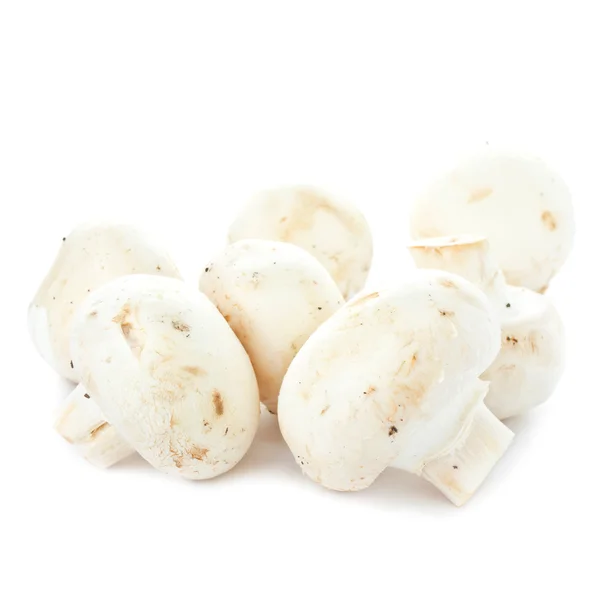 Witte verse rauwe champignon paddestoel op witte achtergrond — Stockfoto