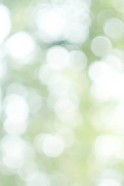 Abstract bokeh Soft green lights background. — Stock Photo, Image