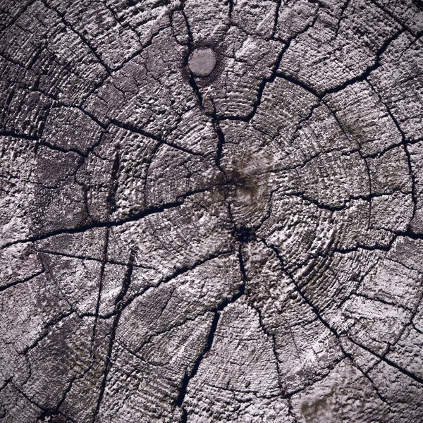 Textura de madera vieja —  Fotos de Stock