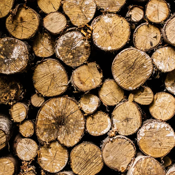 Firewood Background — Stock Photo, Image