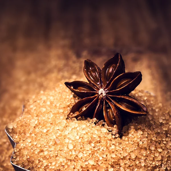Star Anise and brown cane sugar — Stock Photo, Image