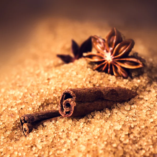 Christmas spices — Stock Photo, Image