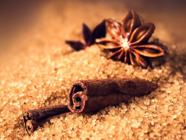 tarçın ve anasonu kahverengi şeker makro üzerinde