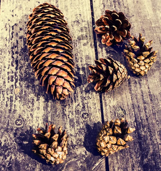 Pilha de cones de pinho marrom na mesa de madeira — Fotografia de Stock