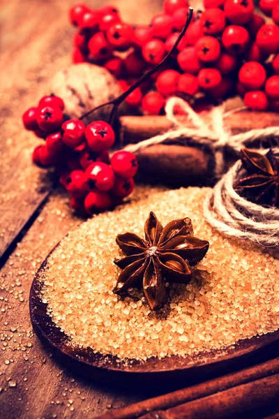 Christmas spices for holiday baking — Stock Photo, Image