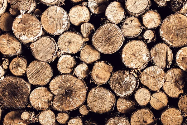 Leña de fondo apilada en la pila de madera — Foto de Stock