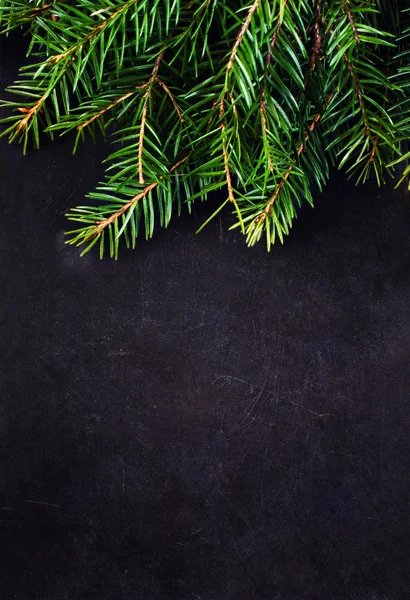 Christmas Fir Tree — Stock Photo, Image