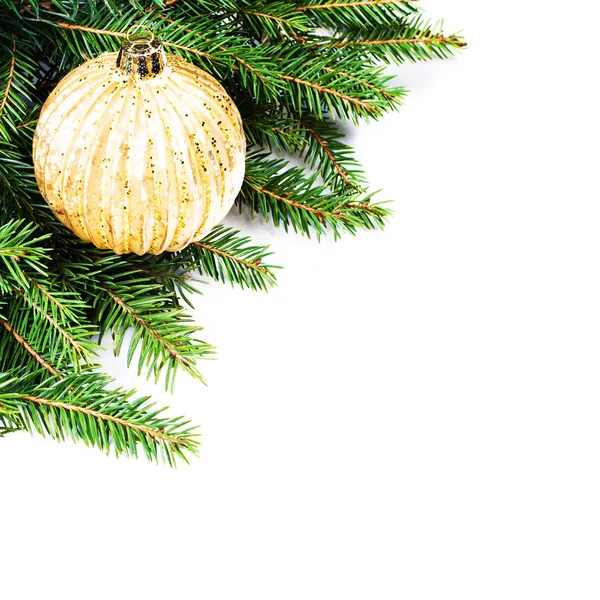 Boże Narodzenie jodła drzewo granica — Zdjęcie stockowe