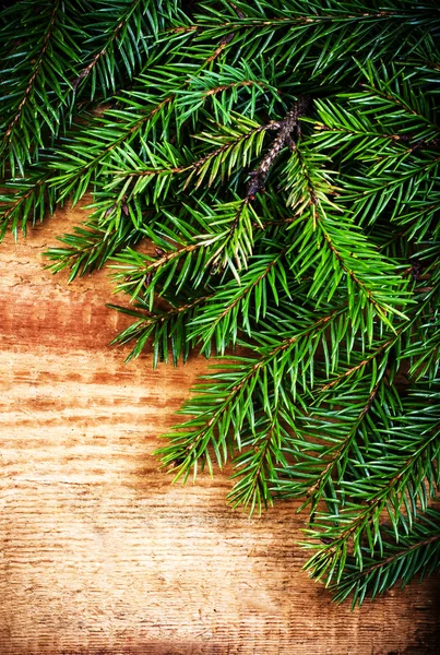 Rama del árbol de Navidad — Foto de Stock