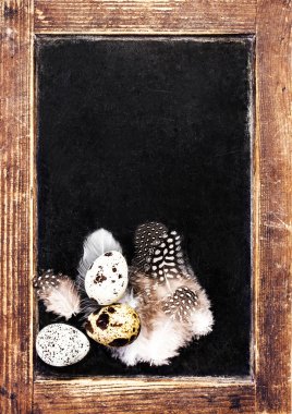 Vintage boş ahşap çerçeveli blackboard grup bıldırcın yumurtası