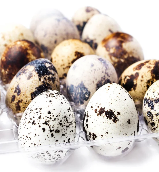 Grupo de huevos de codorniz en un recipiente de plástico —  Fotos de Stock