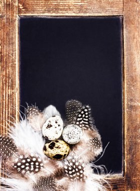 bıldırcın yumurtası vintage yazı tahtası üzerinde