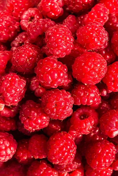 Heap of Fresh sweet raspberries — Stock Photo, Image