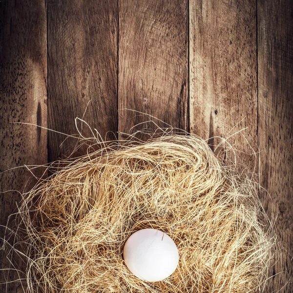 Nido di Pasqua con Uovo Bianco — Foto Stock