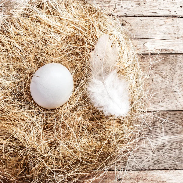 Pasen nest met witte ei — Stockfoto