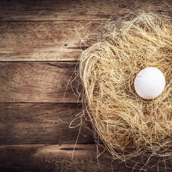 Пасхальное гнездо с белым яйцом — стоковое фото