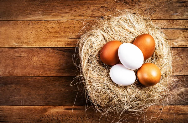 Easter nest with Eggs — Stock Photo, Image